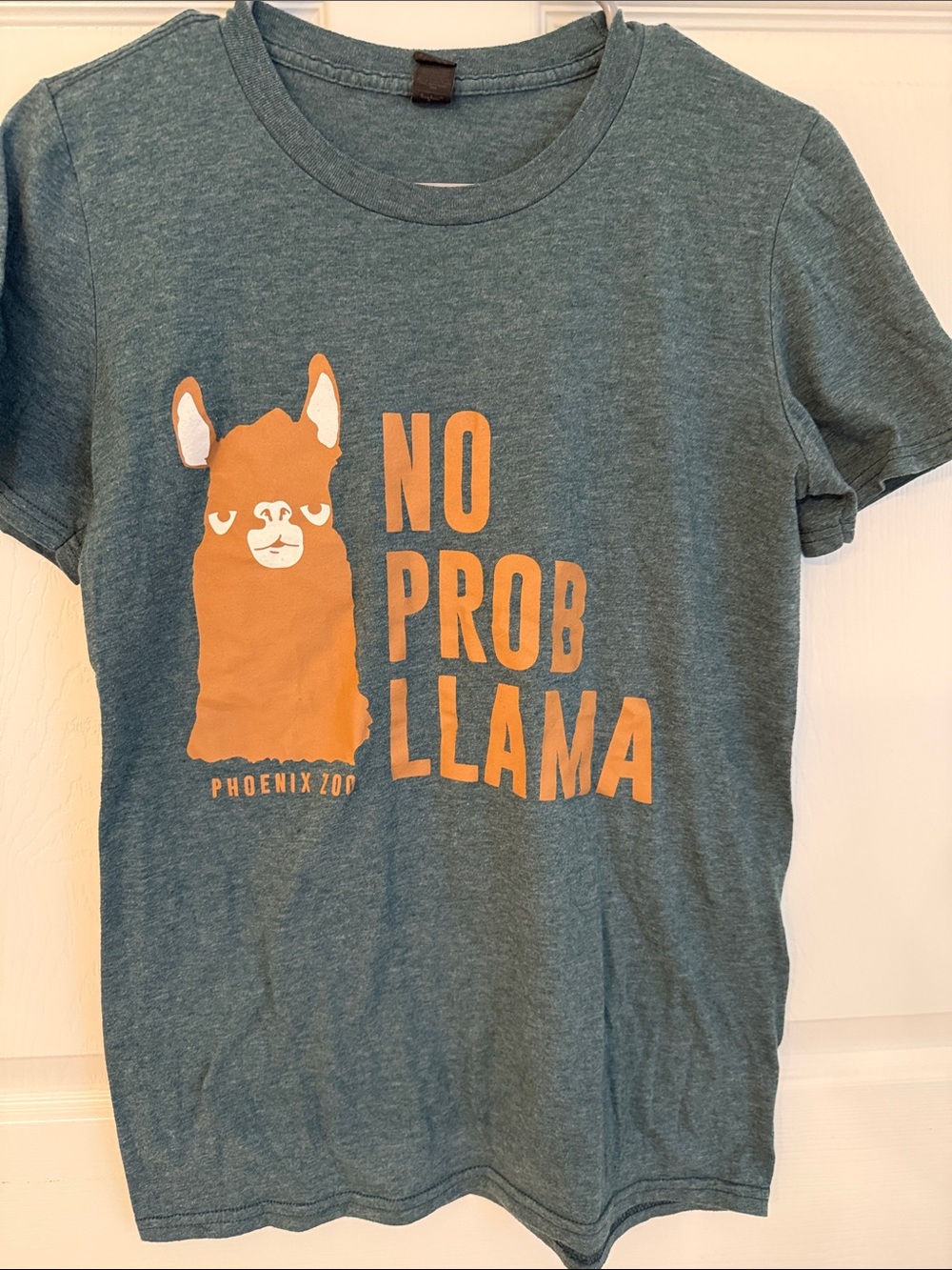 No Prob-llama Graphic Tee - Teal with Orange Print